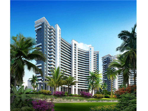 艾可鸡排