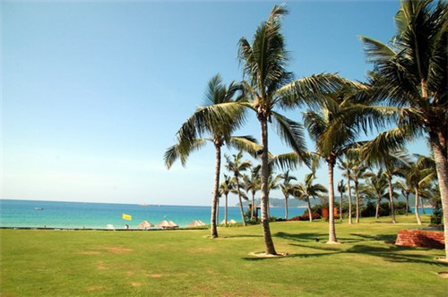 井野家日式拉面