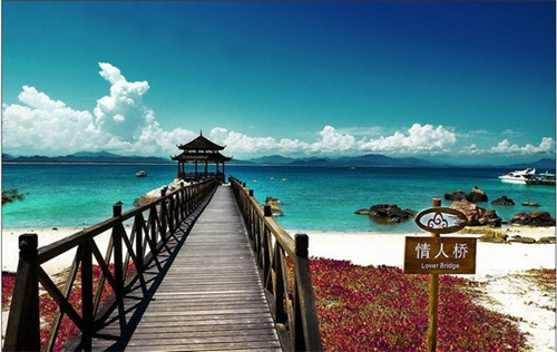 高山茶哪个品牌值得买