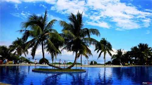 啦呜哩市场前景如何