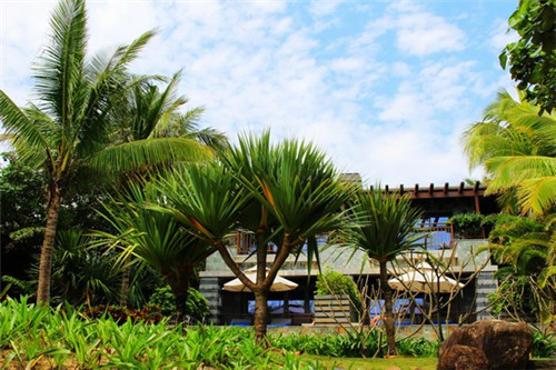 快手直播女主播收入如何