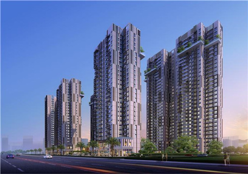 扬尘问题整改工作报告
