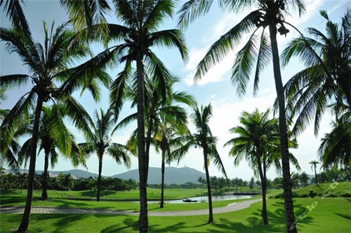 沈御堂足道有哪些店