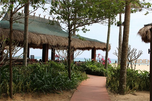 功率预测厂家十大排名（功率预测准确率）