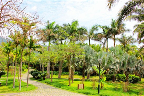 卷饼哪个品牌有优势