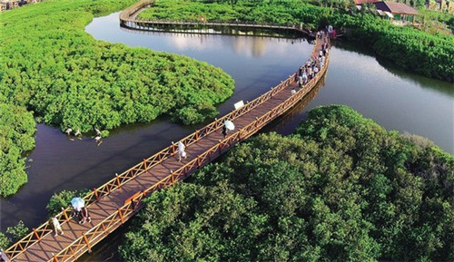 凌云县创业中介哪些品牌性价比高 凌云县创业中介哪些品牌性价比高