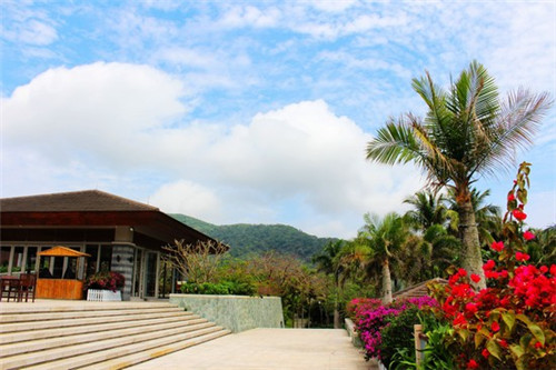 蚊蚁读音（蚊蚊拼音）