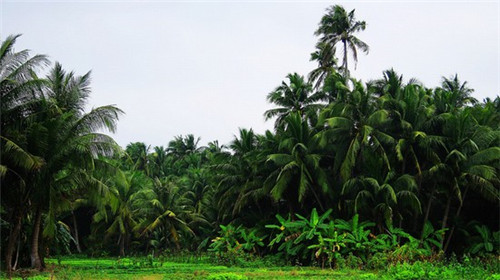 壁挂马桶的价格