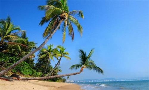 环江毛南族自治县开店创业书柜加盟品牌推荐有哪些 环江毛南族自治县开店创业书柜加盟品牌推荐有哪些