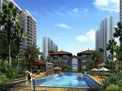 《制作蛋白肉炒白菜：步骤与技巧》